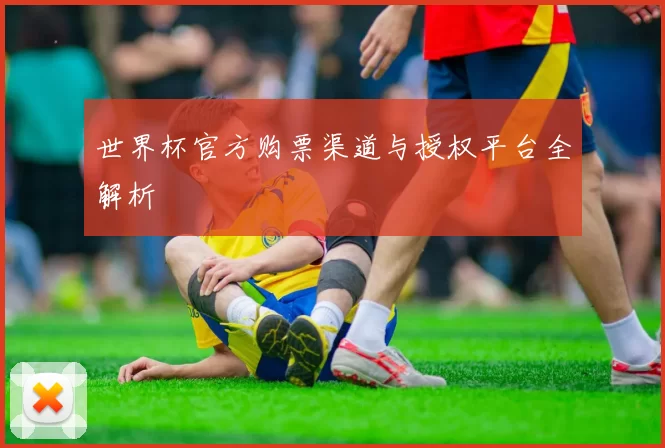 世界杯官方购票渠道与授权平台全解析