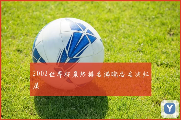 2002世界杯最终排名揭晓各名次归属