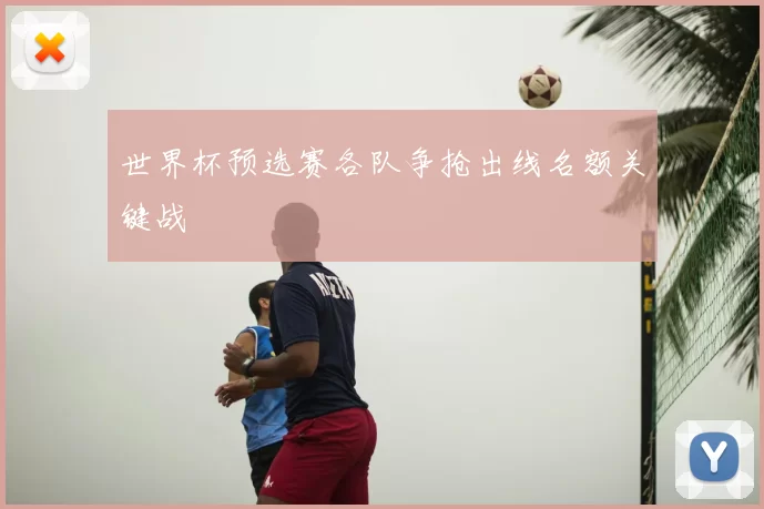 世界杯预选赛各队争抢出线名额关键战