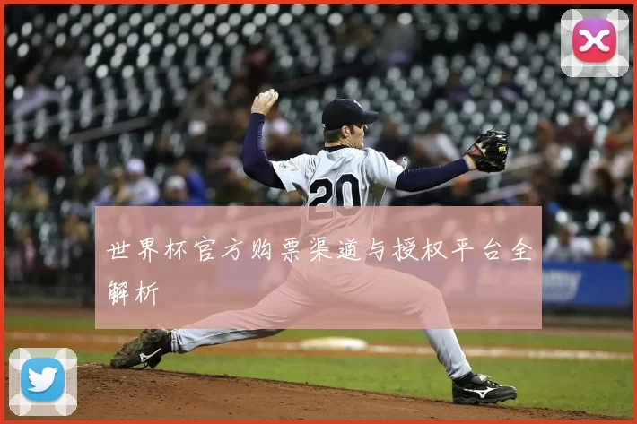 世界杯官方购票渠道与授权平台全解析