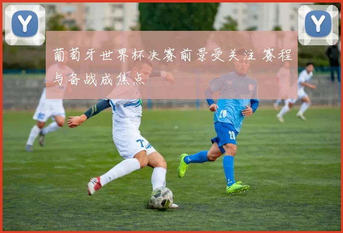 葡萄牙世界杯决赛前景受关注 赛程与备战成焦点