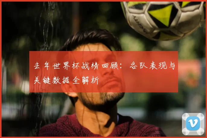 去年世界杯战绩回顾：各队表现与关键数据全解析