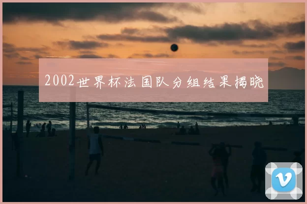 2002世界杯法国队分组结果揭晓