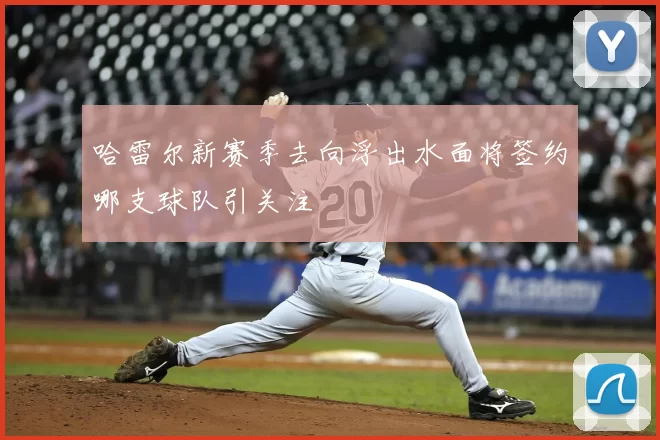 哈雷尔新赛季去向浮出水面将签约哪支球队引关注