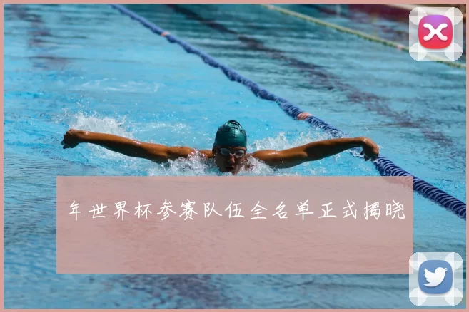 年世界杯参赛队伍全名单正式揭晓