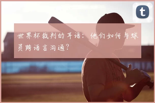 世界杯裁判的耳语：他们如何与球员跨语言沟通？