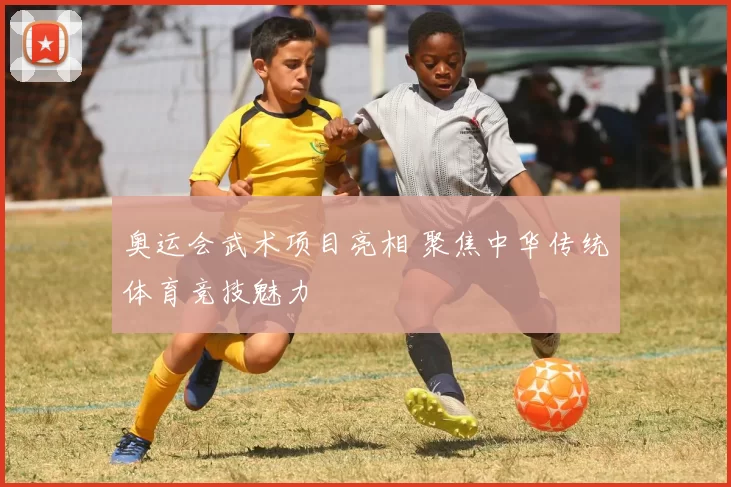 奥运会武术项目亮相 聚焦中华传统体育竞技魅力